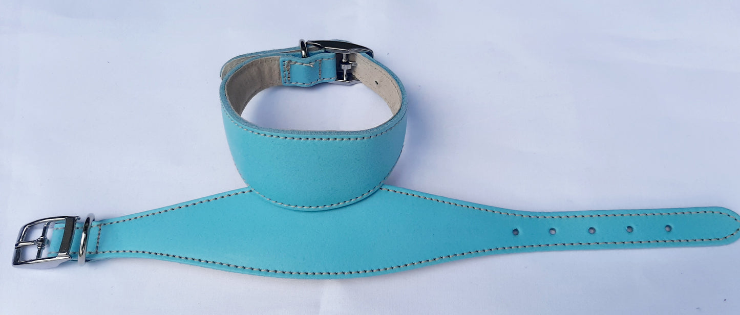 Leather Padded Whippet Dog Collar