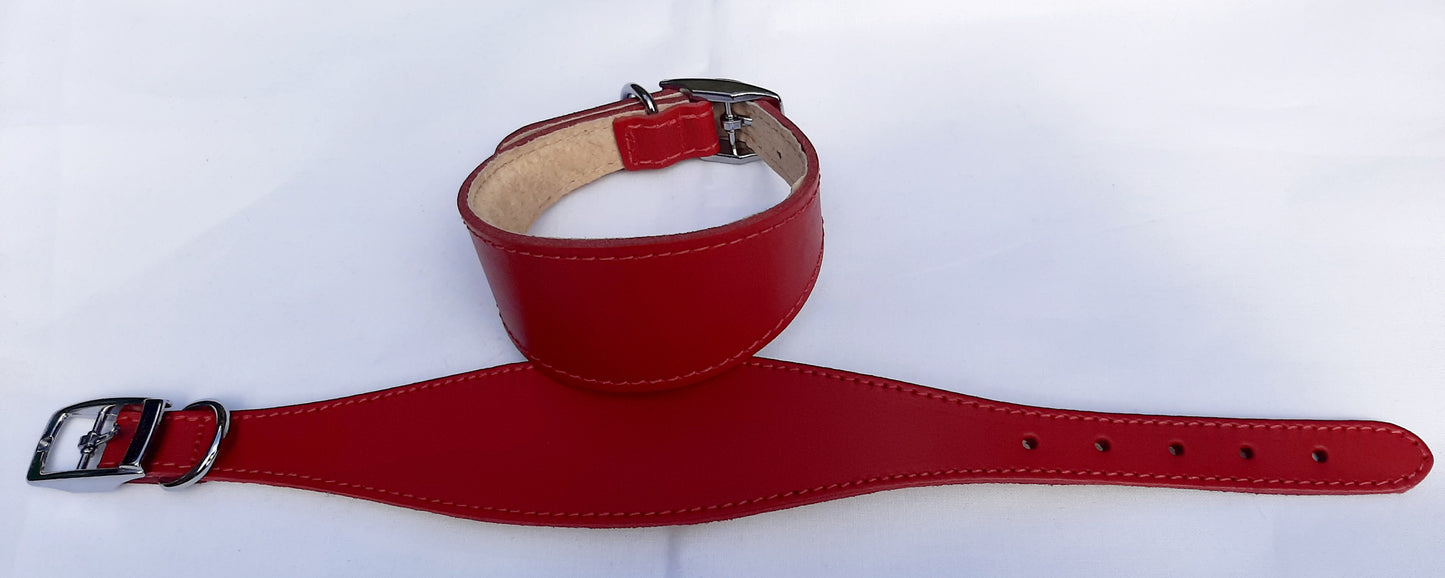 Leather Padded Whippet Dog Collar