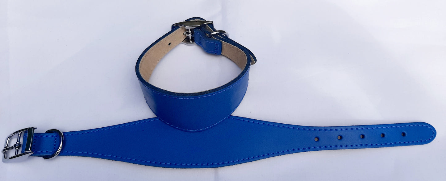 Leather Padded Whippet Dog Collar