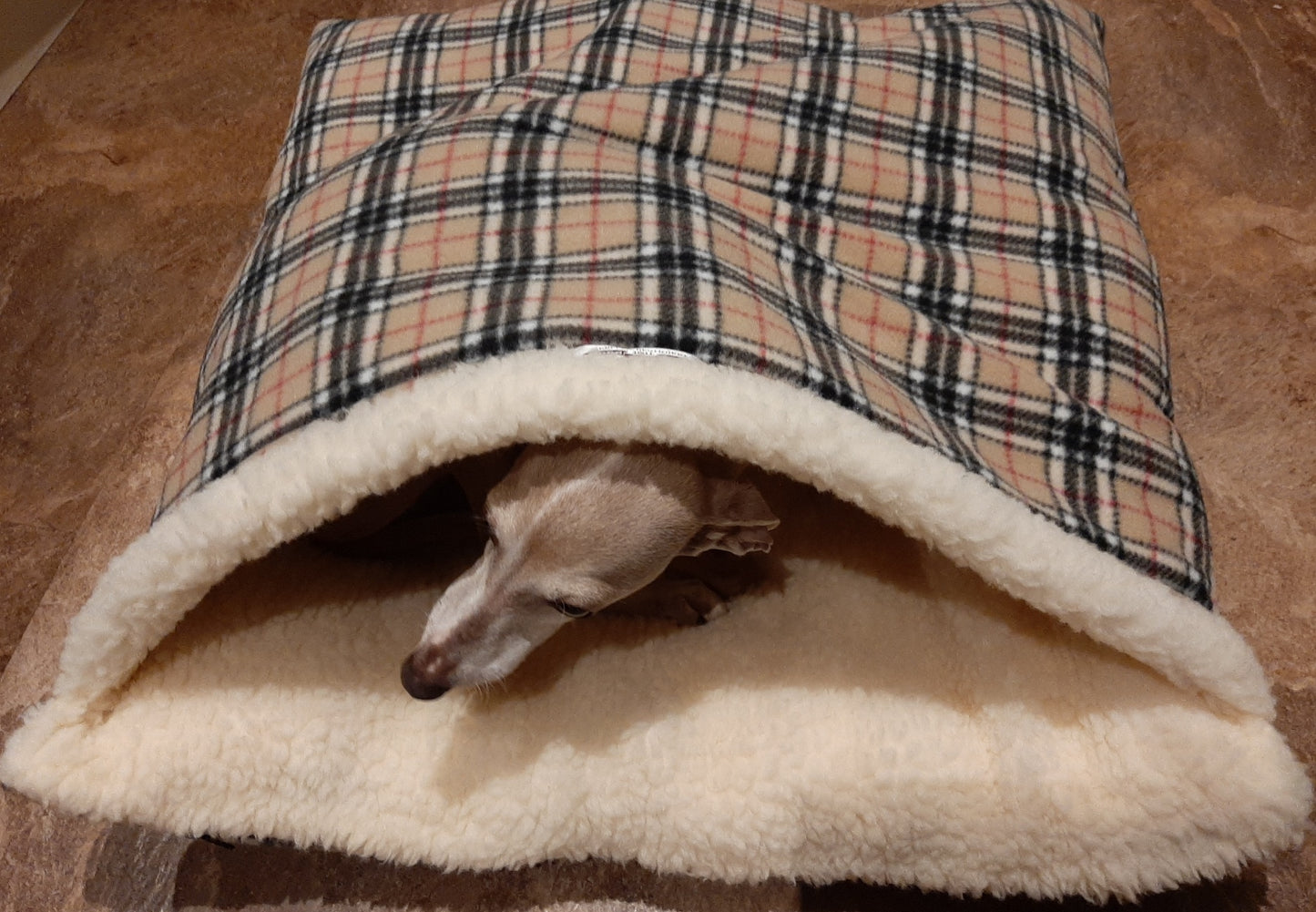 Togs for Dogs Gift Card