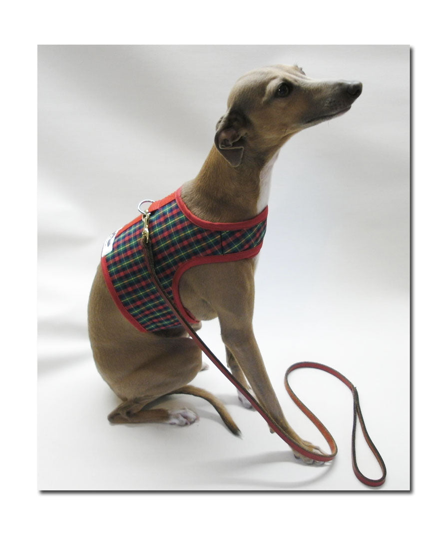Italian Greyhound Comfort Fit Vest Harness –