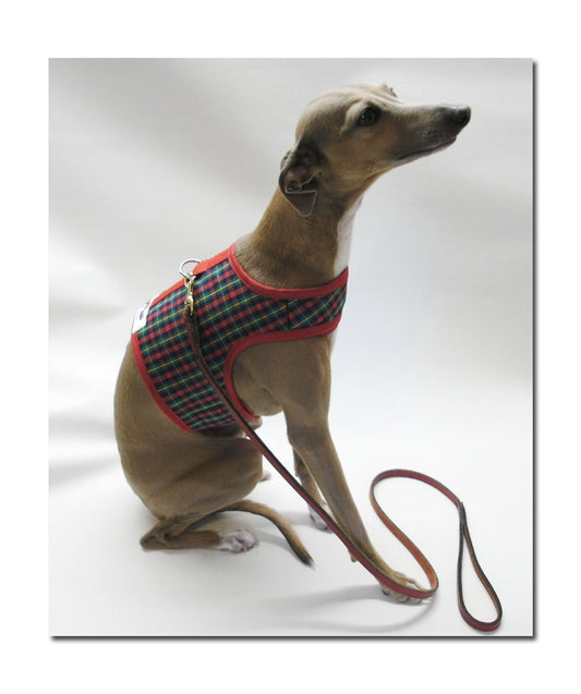 Italian Greyhound Comfort Fit Vest Harness