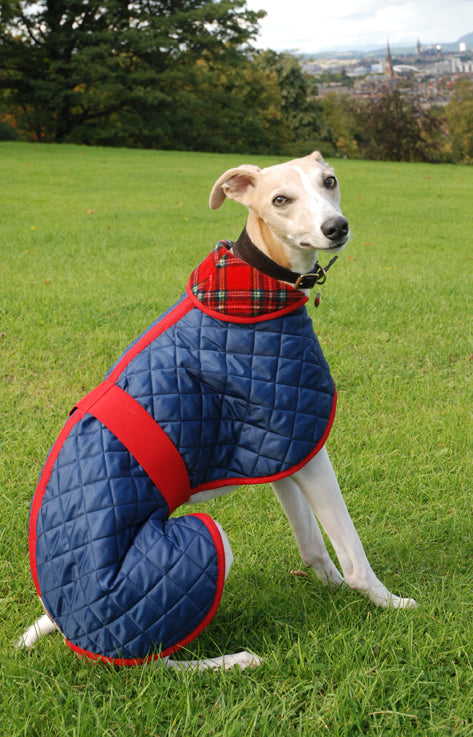 Quilted Showerproof Polar Fleece Lined Whippet Dog Coat