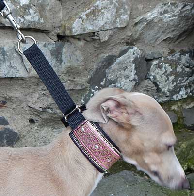 Martingale Fabric Dog Collars - Italian Greyhound