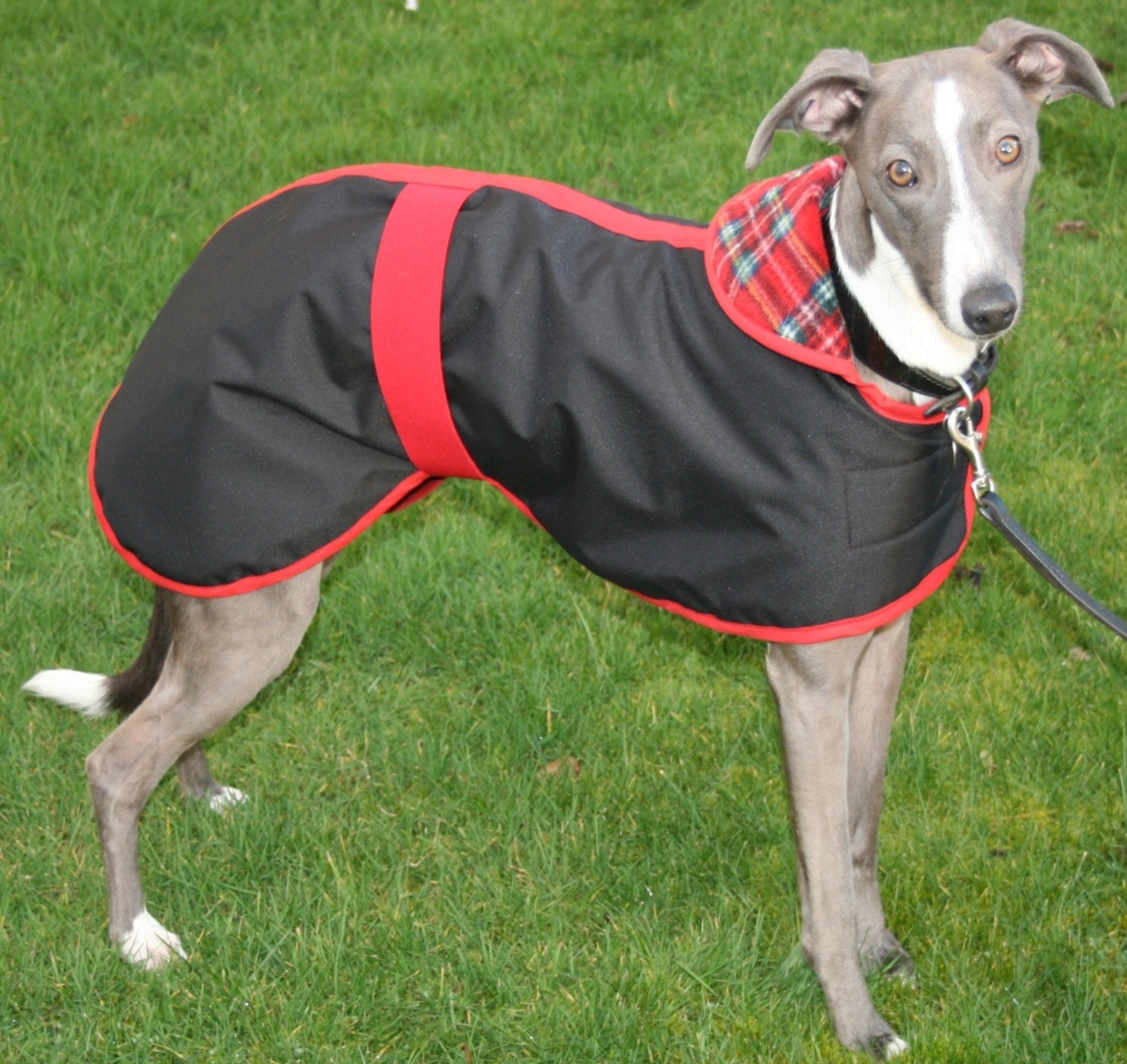 Waterproof Polar Fleece Lined Whippet Dog Coat –