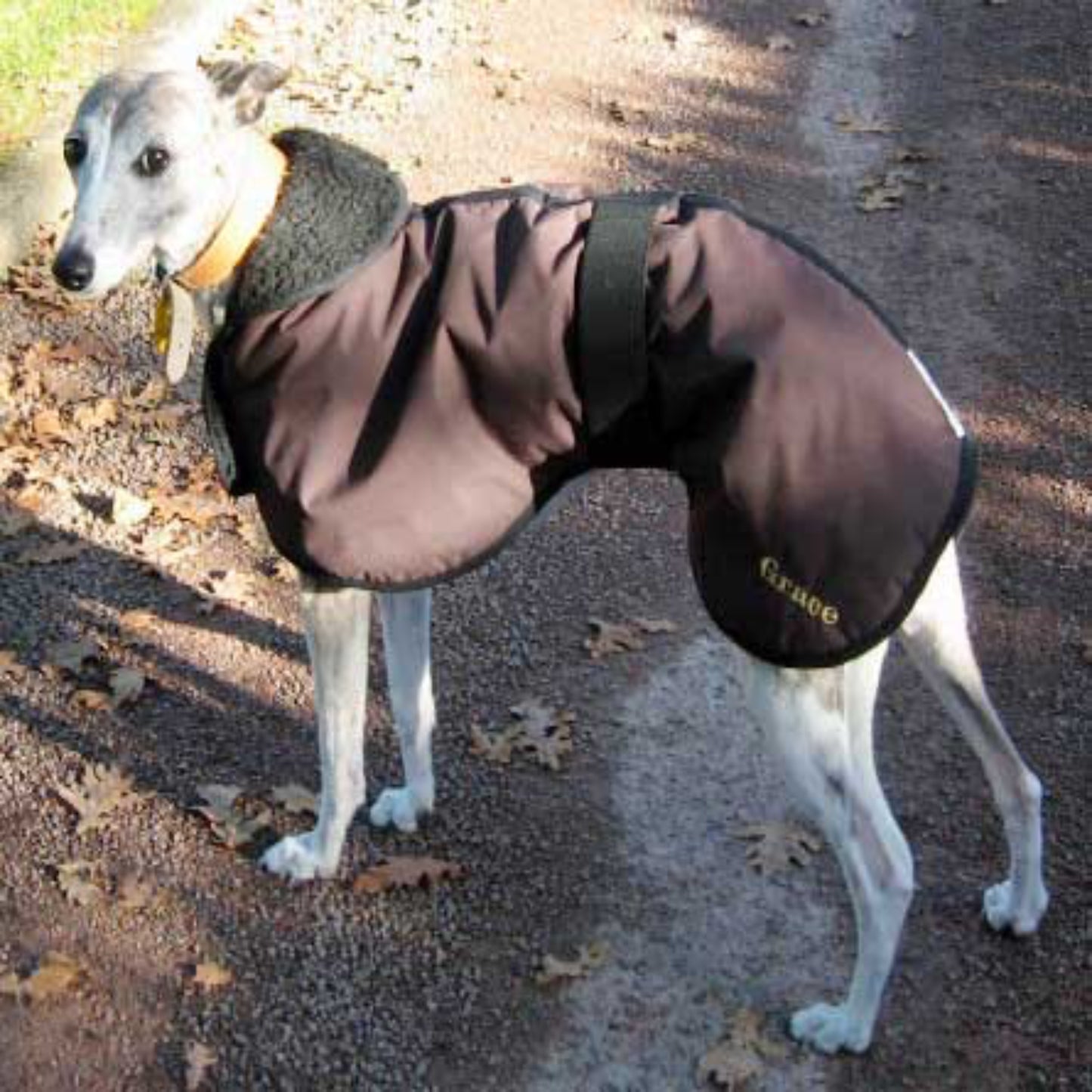 Waterproof Winter Warm Faux-Sheepskin Lined Whippet Dog Coat