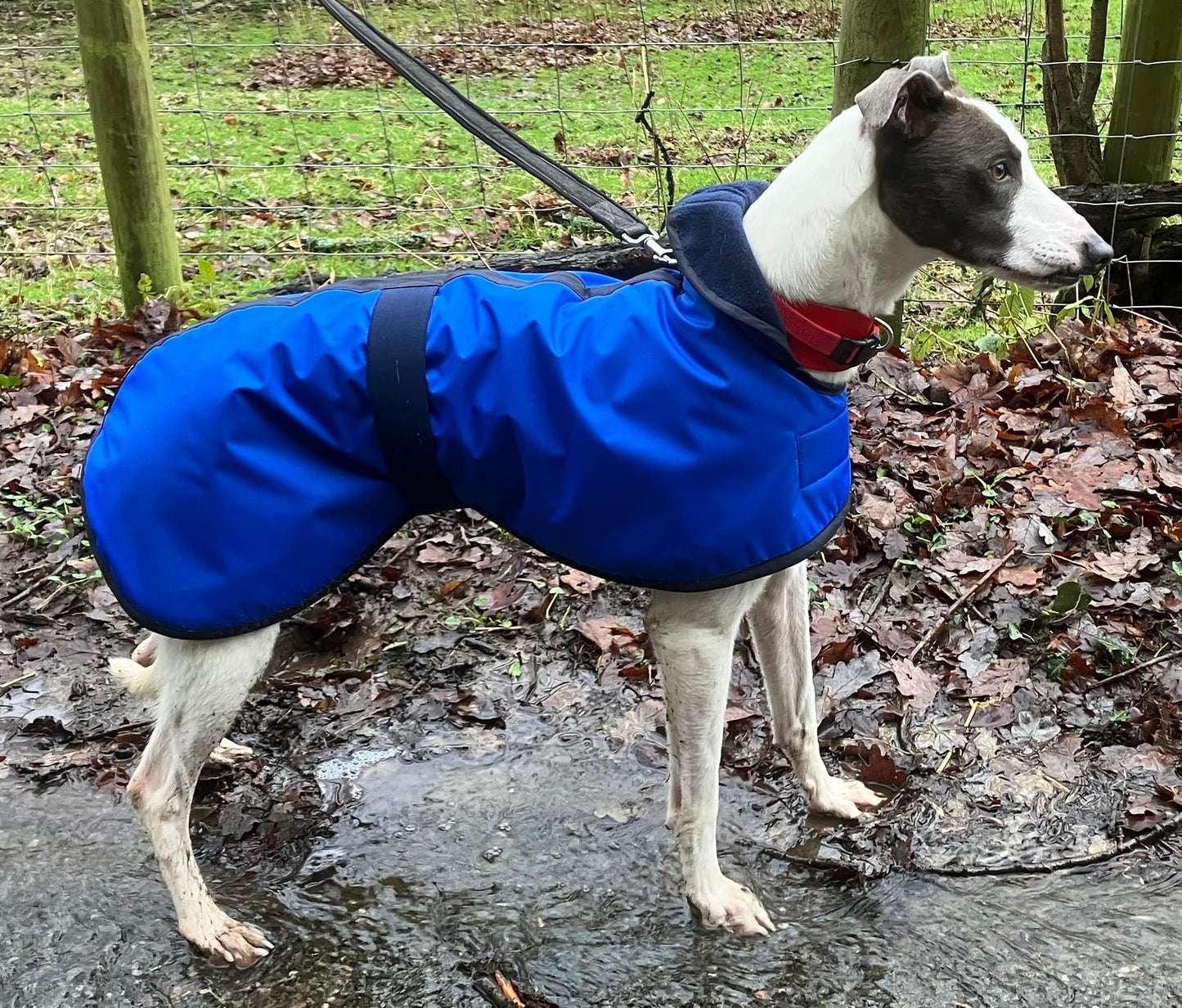 Bespoke Waterproof Fleece Lined Dog Coat - All Dog Breeds