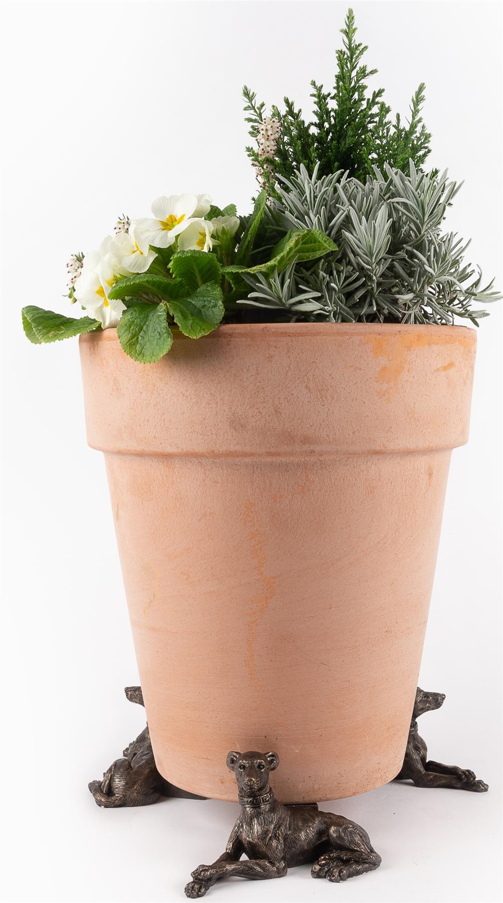 Hound Plant Pot Feet to give your Pot Plants a lift