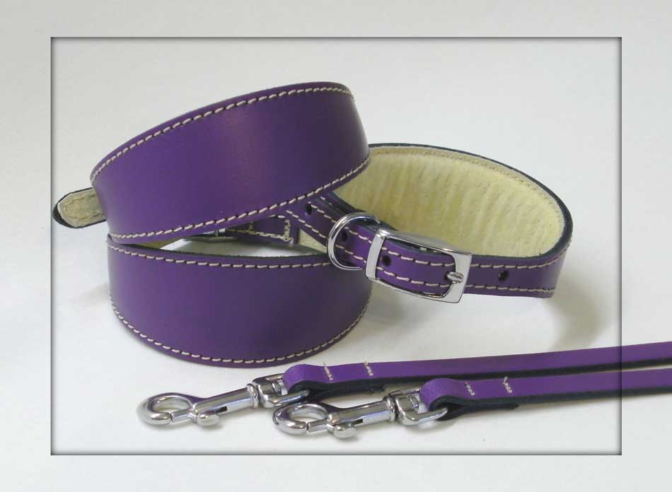 Violet Leather Whippet Puppy collar
