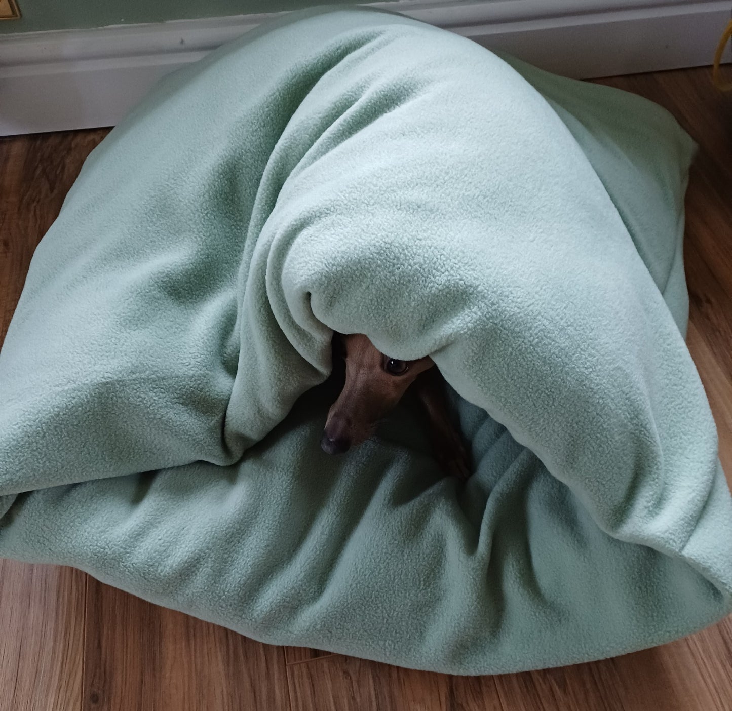 Pita Bed for Whippets, Italian Greyhounds & Dogs that like to be cosy