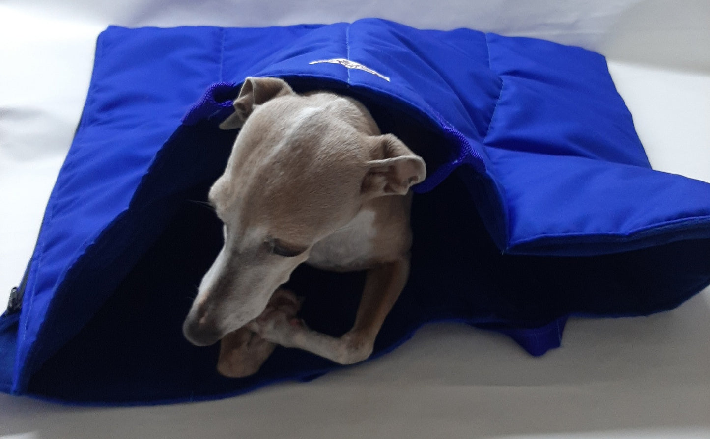 Iggy Snuggle Travel Bag