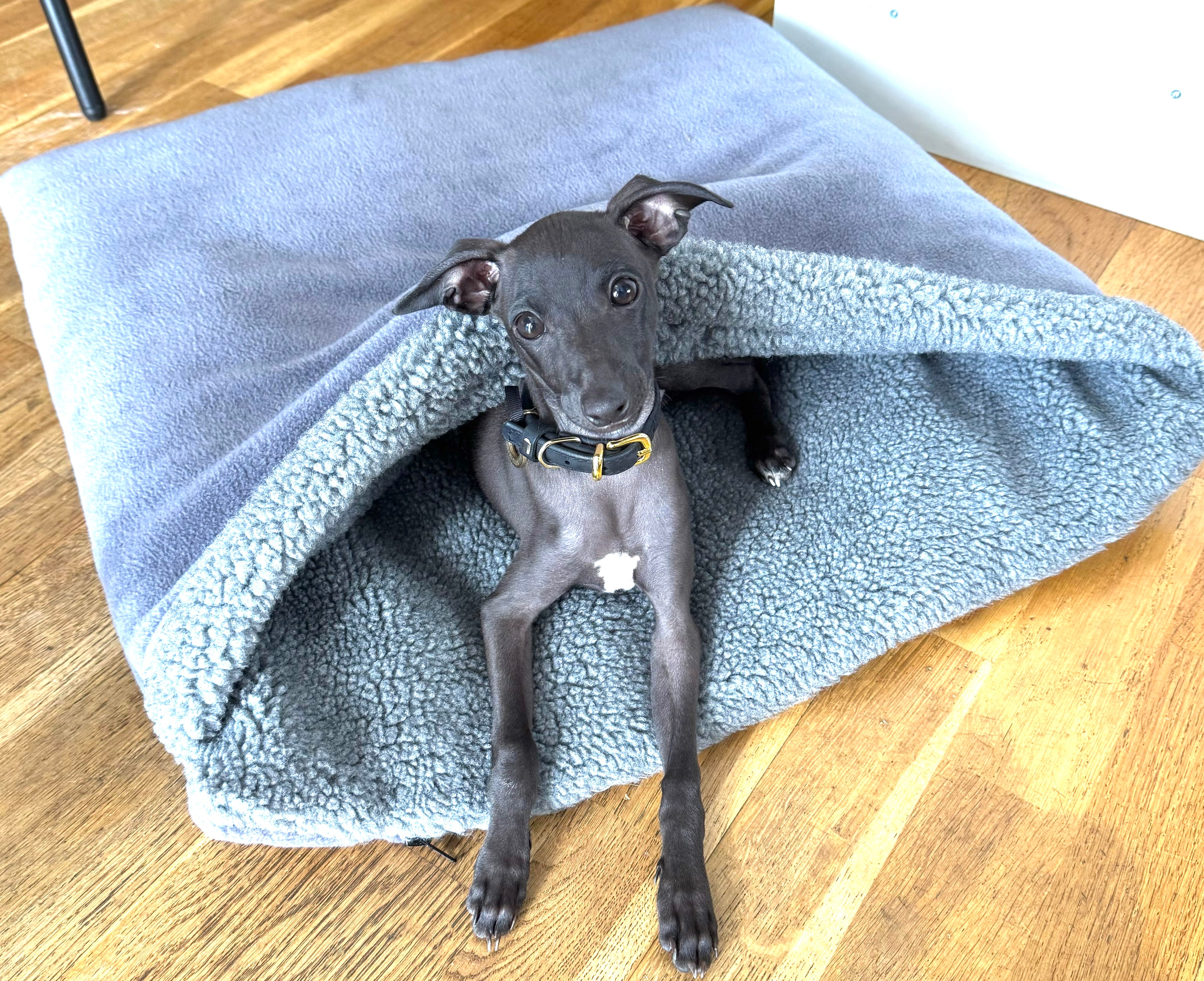 Snugglebeds for Whippets Italian Greyhounds