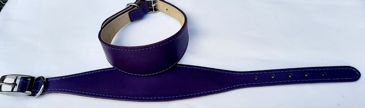 Leather Padded Whippet Dog Collar