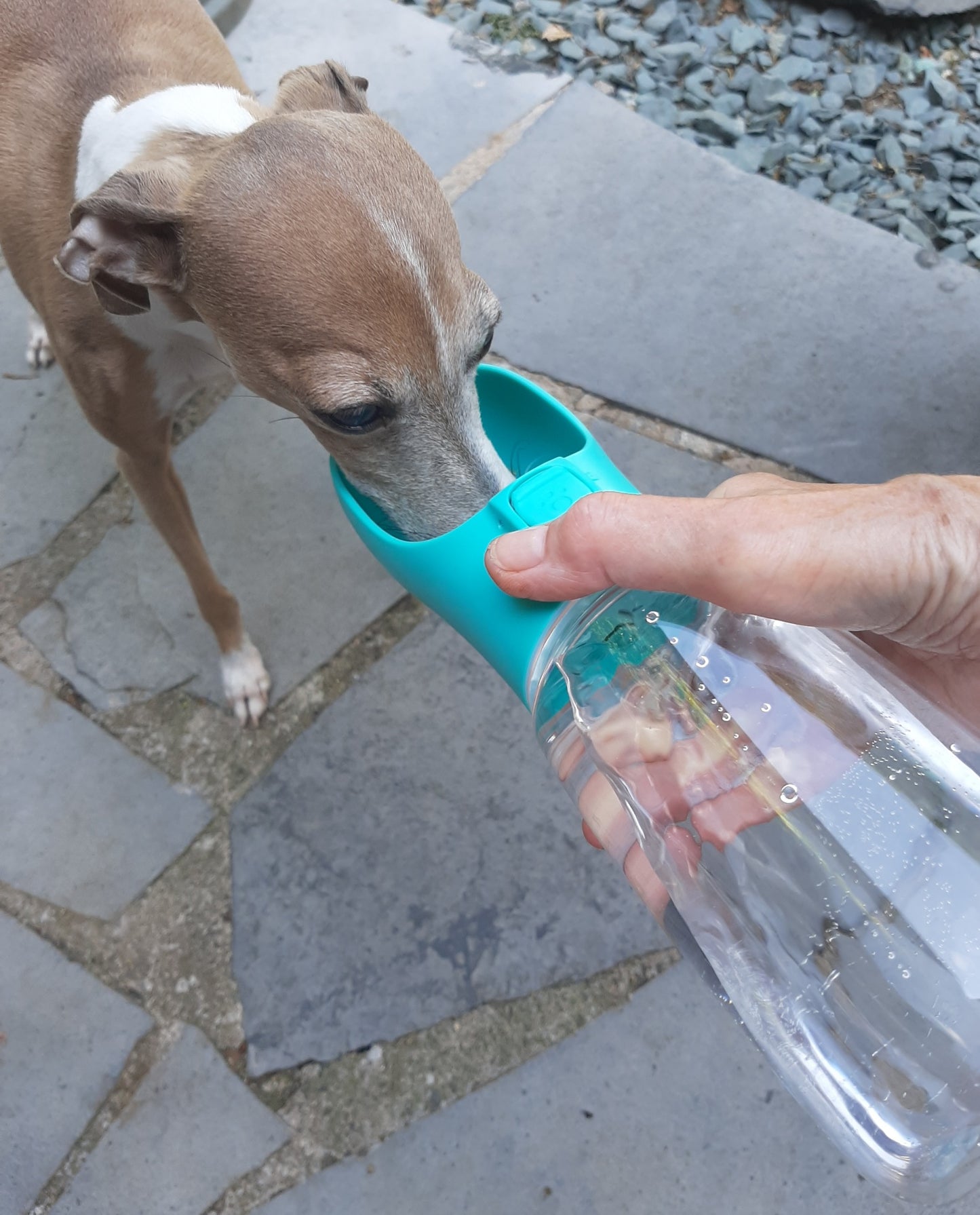 Portable Dog Water Bottle complete with drinking cup