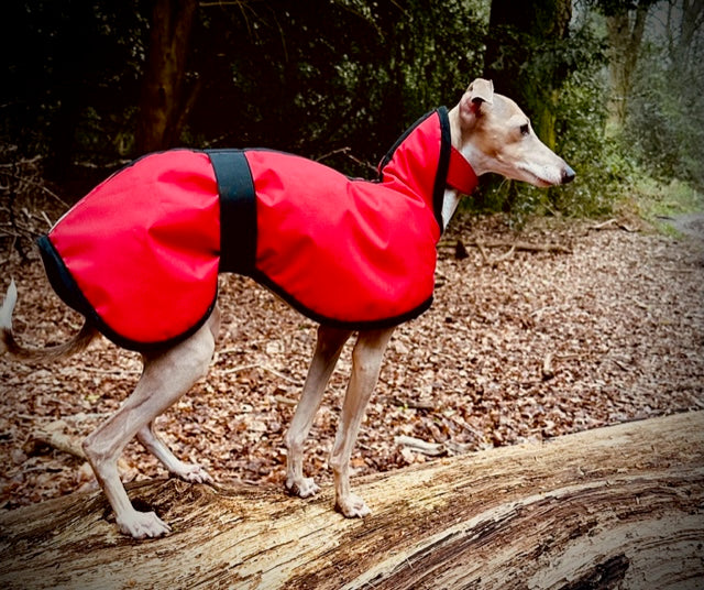 Waterproof Polar Fleece Lined Italian Greyhound Coat