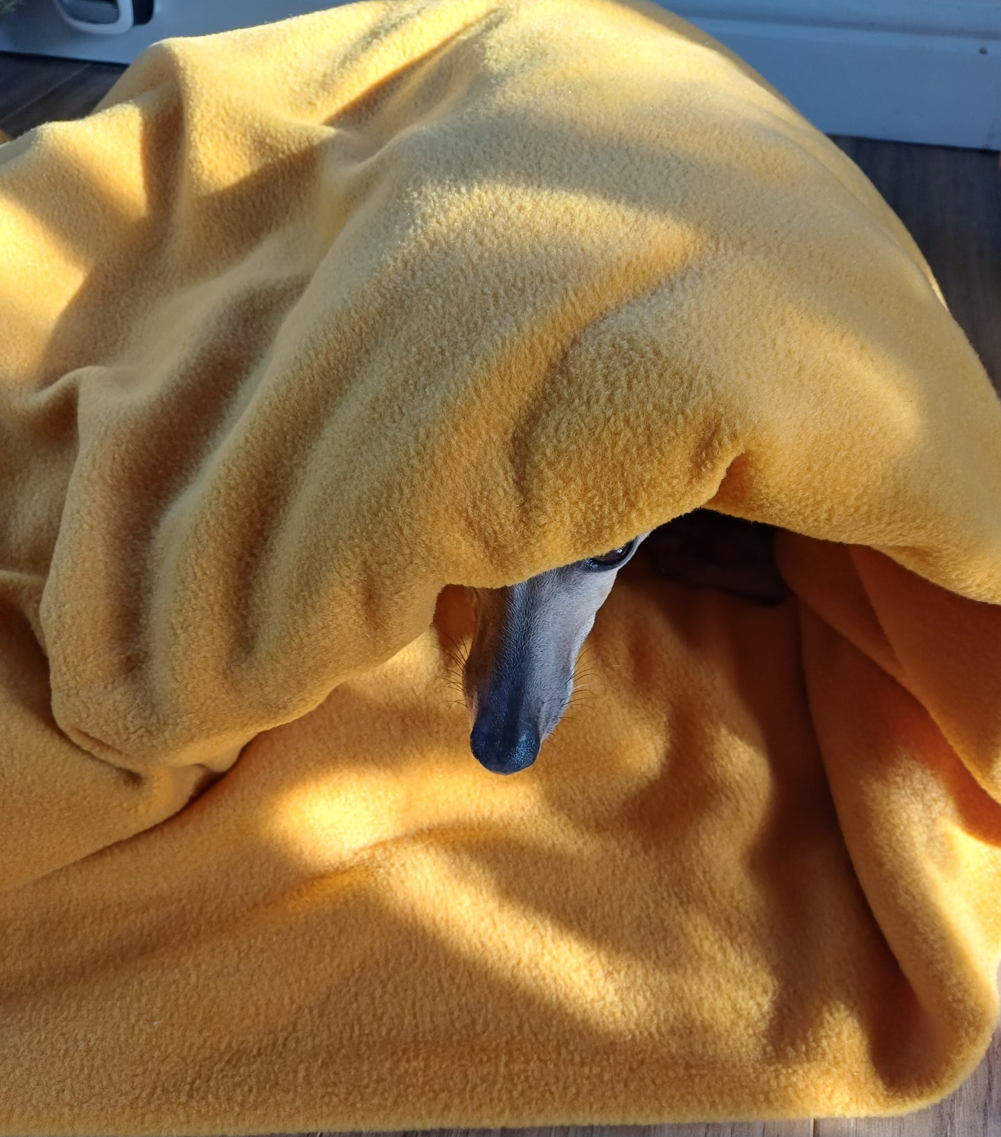 Pita Bed for Whippets, Italian Greyhounds & Dogs that like to be cosy