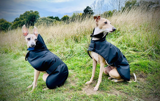 Waterproof Winter Warm Faux-Sheepskin Lined Italian Greyhound Dog Coat