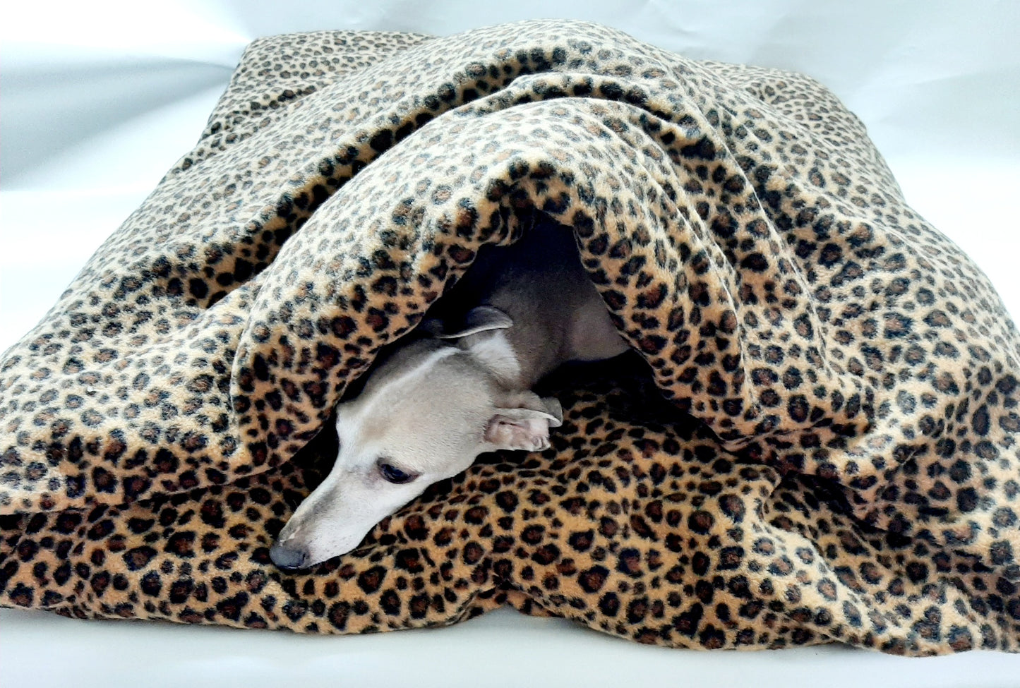 Pita Bed for Whippets, Italian Greyhounds & Dogs that like to be cosy
