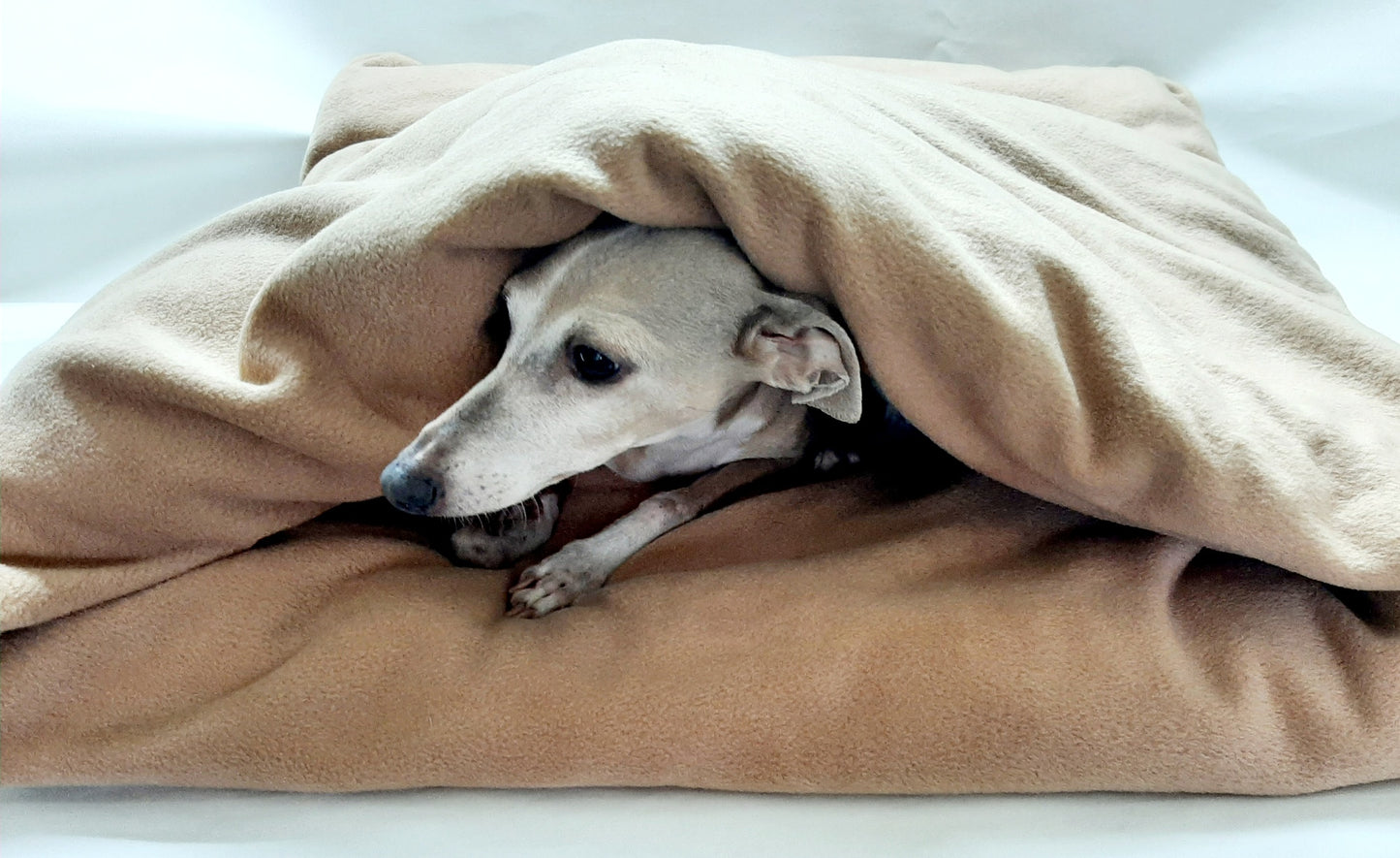 Pita Bed for Whippets, Italian Greyhounds & Dogs that like to be cosy