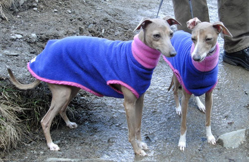 Fleece Sweater for Italian Greyhounds