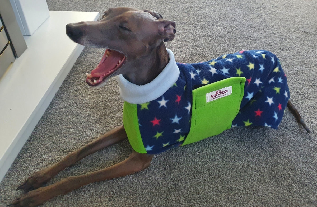 Italian Greyhound Cosy Fleece Sweater