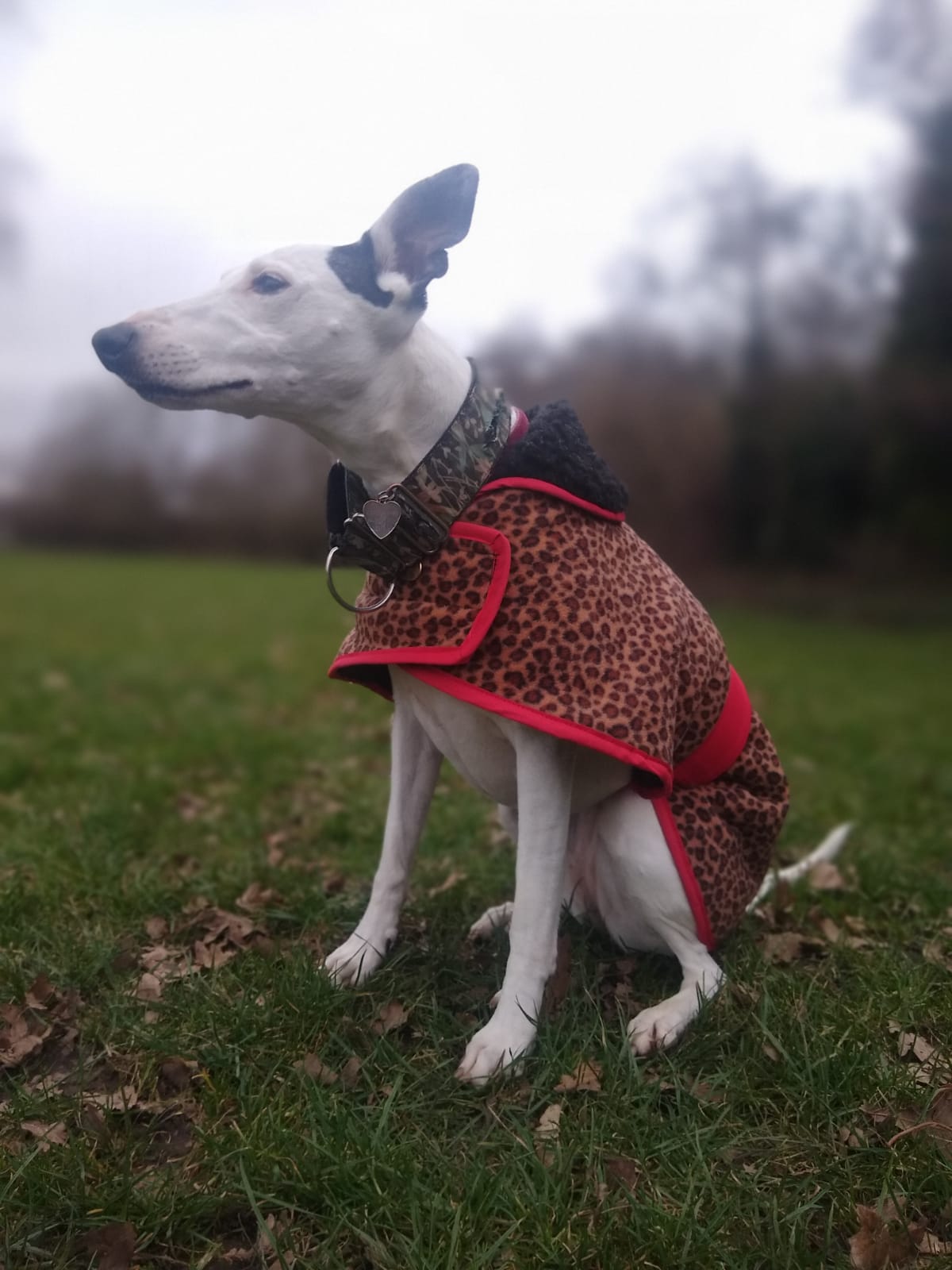 Bespoke Winter Polar Fleece Warm Lined Dog Coat - All Breeds