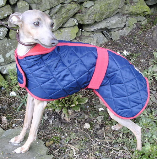 Quilted Fleece Lined Italian Greyhound Dog Coat