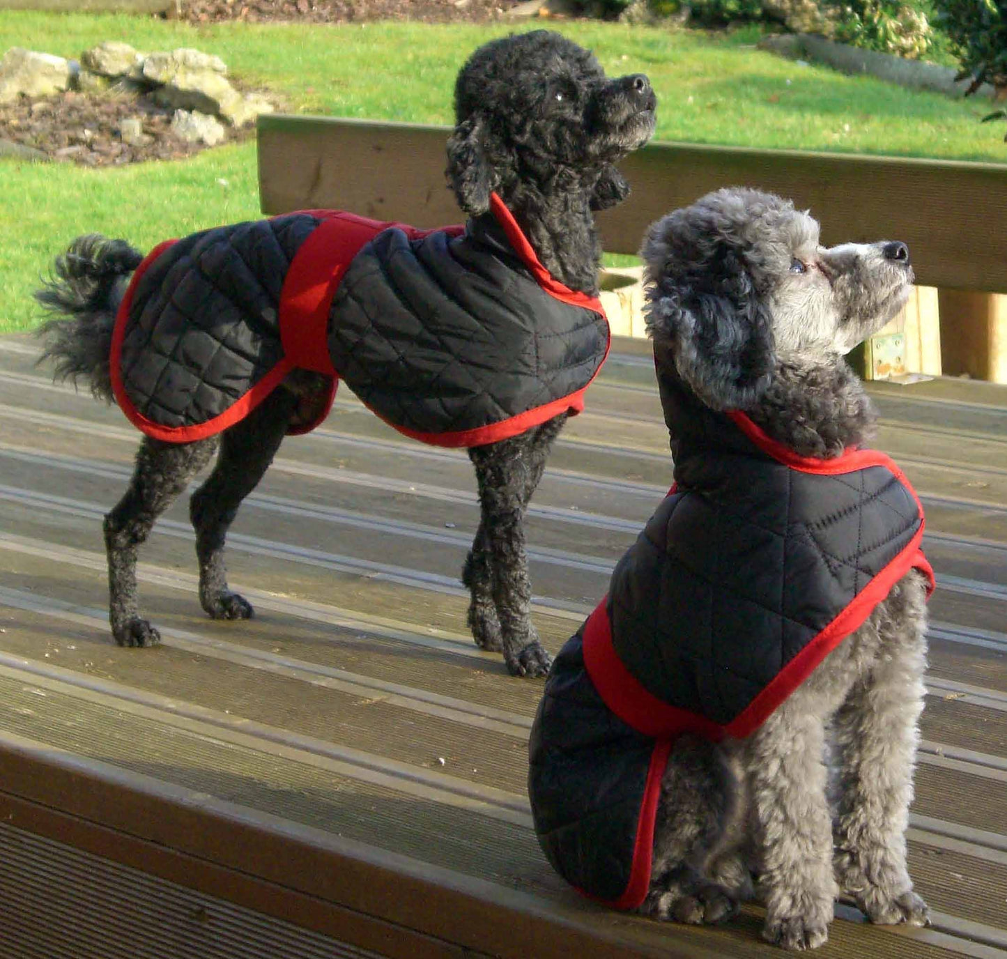 Bespoke Quilted Showerproof Fleece Lined Dog Coat - All Dog Breeds Black or Dark Navy