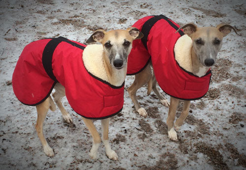 Bespoke Waterproof & Shearling Lined Dog Coat - All Dog Breeds