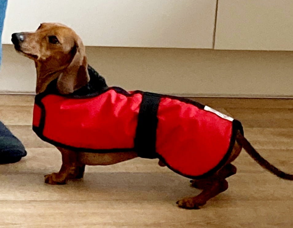 Bespoke Waterproof Fleece Lined Dog Coat - All Dog Breeds