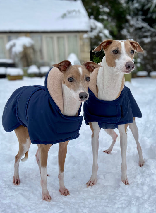 Waterproof Storm Coat for Italian Greyhounds (Extra Warm)