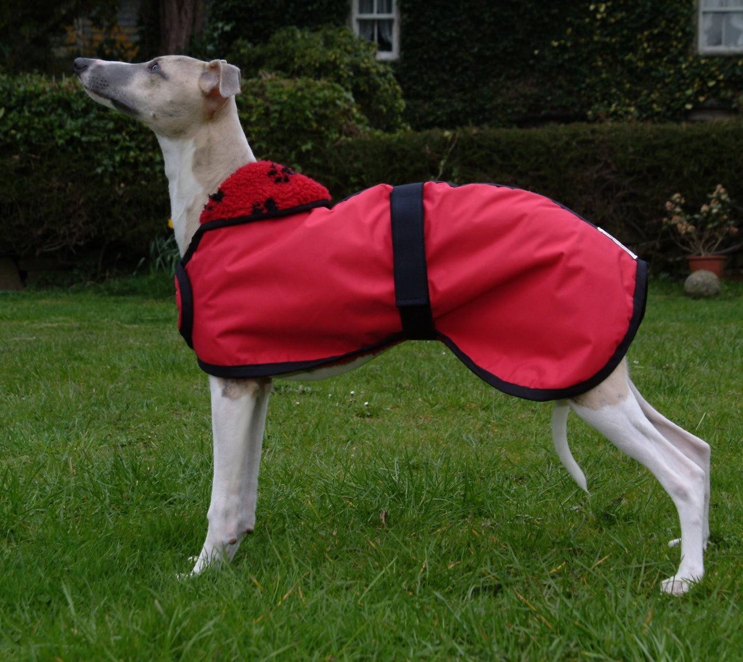 Waterproof Winter Warm Faux-Sheepskin Lined Whippet Dog Coat