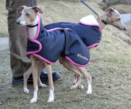 Waterproof Winter Warm Faux-Sheepskin Lined Italian Greyhound Dog Coat