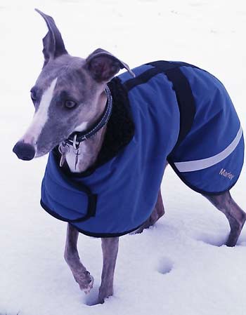 Waterproof Polar Fleece Lined Whippet Dog Coat